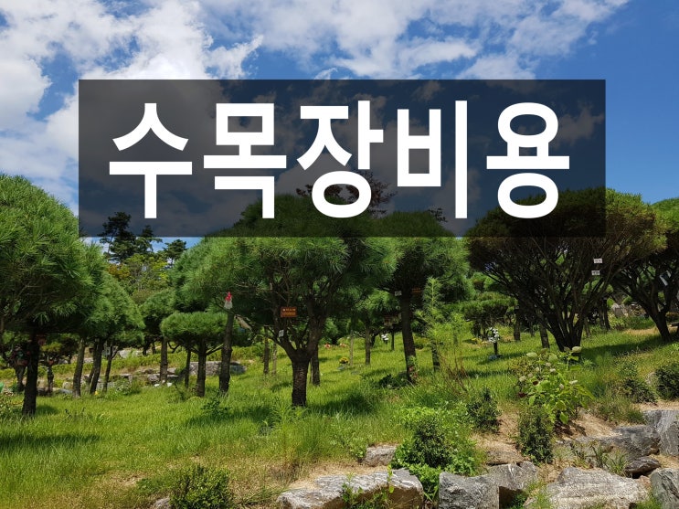  수목장비용 어느정도가 적당한가요?