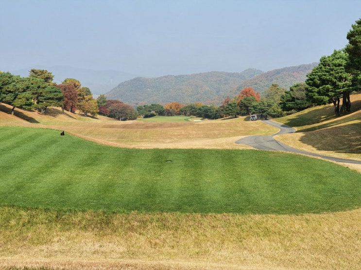  지산CC 라운딩후기