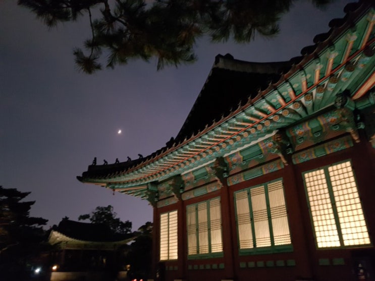  사진출사 진짜 오랜만. 창덕궁의 가을. 니콘이라 어려웠던 실습.이제야 초보티 벗을 수 있을라나요..