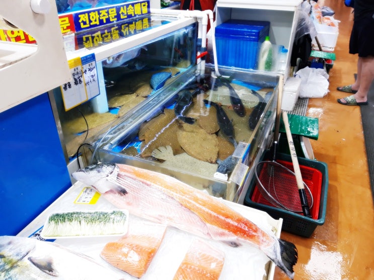  노량진수산시장 대방어 정말 맛있어요