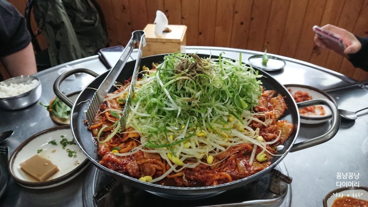  [제주도 여행 - 6] 현지인 추천 백반 맛집 춘미향식당, 갈대 억새밭 인생샷