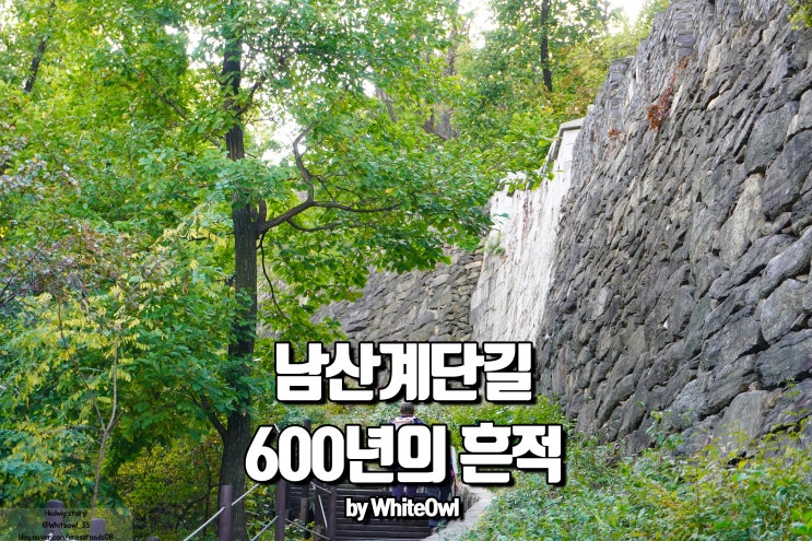  남산 나무 계단길 한양도성 600년의 흔적