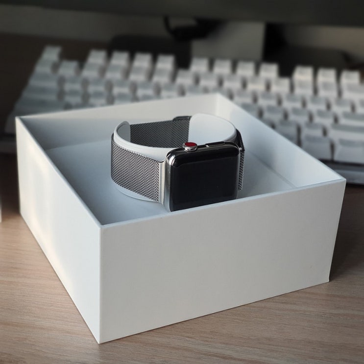  애플워치3 스테인리스 셀룰러 샀다. (Apple watch series 3 stainless steel)