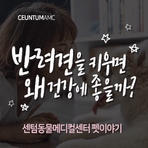  [동물뉴스]반려견을 키우면 왜 건강에 좋을까? (부산분과전문동물병원, 365일연중무휴)