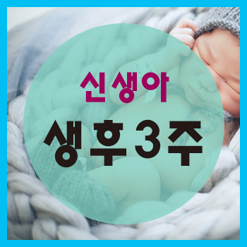  생후 3주 정보