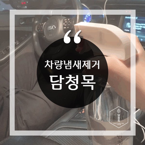  차량냄새제거 효과적인 담청목