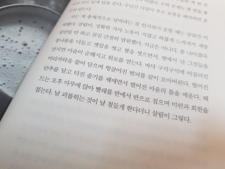  싸울 때마다 투명해진다