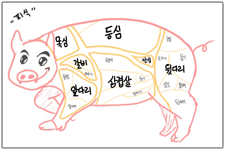모든 돼지고기 부위별 특징 알아보기
