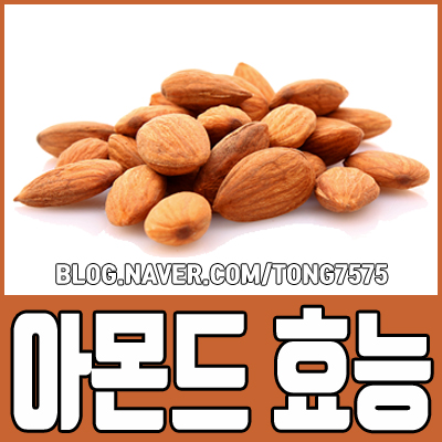 아몬드 효능 8가지 자세하게 알아보기
