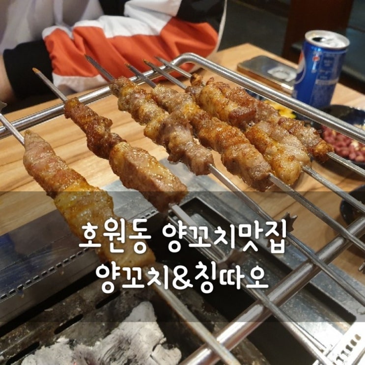  호원동양꼬치 맛집 망월사역 회식장소 추천 호원동 양꼬치앤칭따오