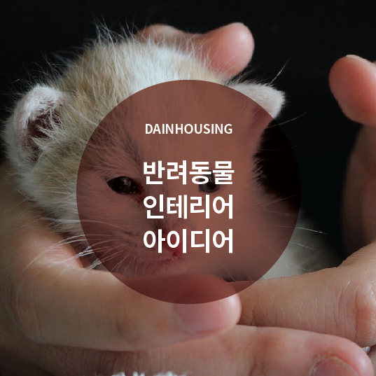  반려동물 인테리어 아이디어