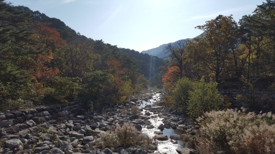 속초 설악산의 고즈넉한 산길 및 계곡