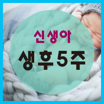  생후 5주 정보