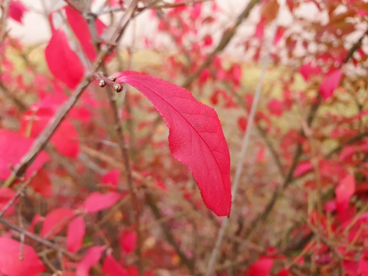  위례에서 남한산성까지 올라가보기