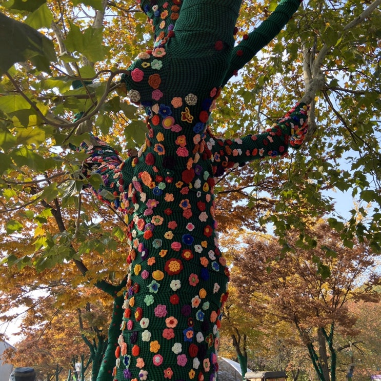  [안양] 안양예술공원 털실옷가로수길(안양가볼만한곳/안양단풍놀이/안양공공예술프로젝트APAP6/주차)