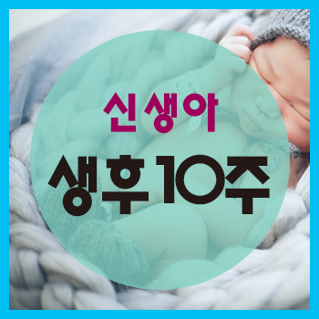  생후 10주 정보