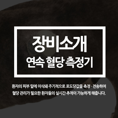  가디언커넥트 연속 혈당 측정 시스템 도입 (센텀동물메디컬센터, 해운대 수영구 동물병원, 고혈당, 저혈당)
