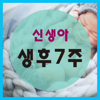  생후 7주 정보
