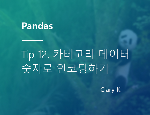 [파이썬] 판다스(pandas) 팁12. 범주 데이터를 숫자로 인코딩하기 : 원핫인코딩