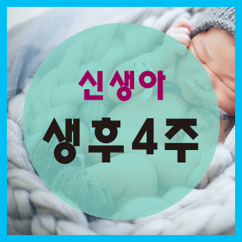 생후 4주 정보