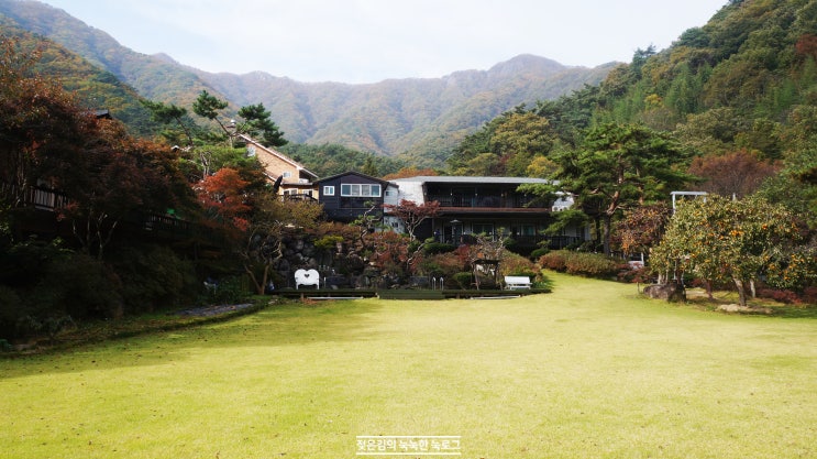 담양 펜션 산에 안긴 해오름