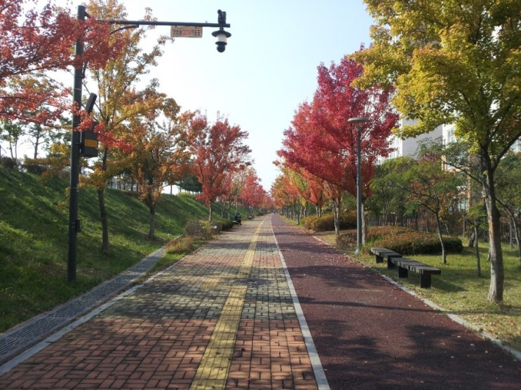  제가 좋아하는 동네 산책로 