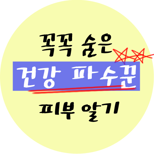  피부와 3가지 피부층의 역할과 기능