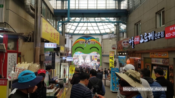  단양 구경시장 맛집으로 추천할 곳은? (다 먹어본 후기)