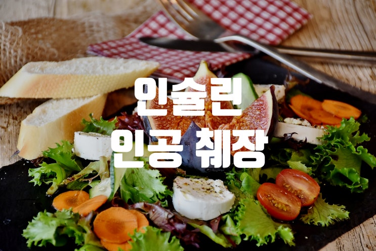  당뇨병 관리 향상 인공 췌장