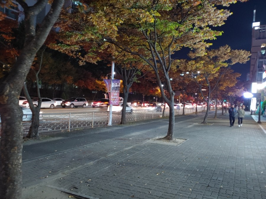 한스랍스터 해가든점 사진 3