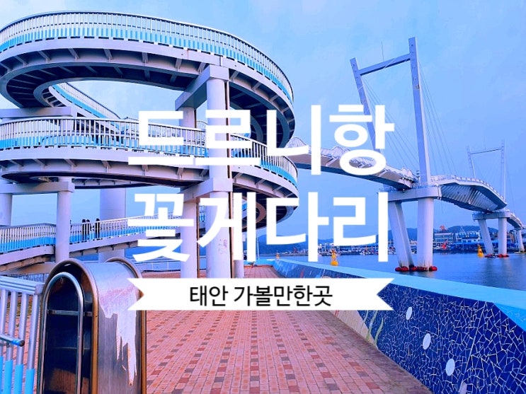  [태안여행] 태안가볼만한곳 드르니항 꽃게다리 추천해요.