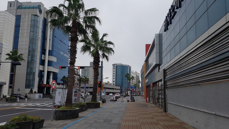  제주 가족 여행 #1 / 1~2일차, 리젠트 마린 호텔, 제주 수목원 테마파크, 제주 항공 우주 박물관, 애월집 ,이호테우 해수욕장
