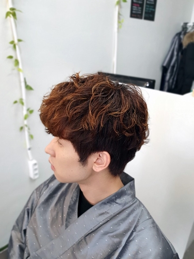  소프트스핀스왈로우