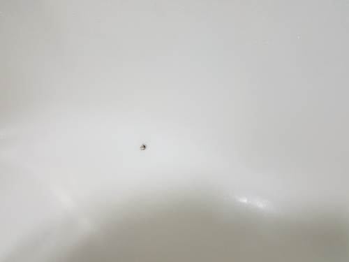  충격으로욕조가깨졌어요