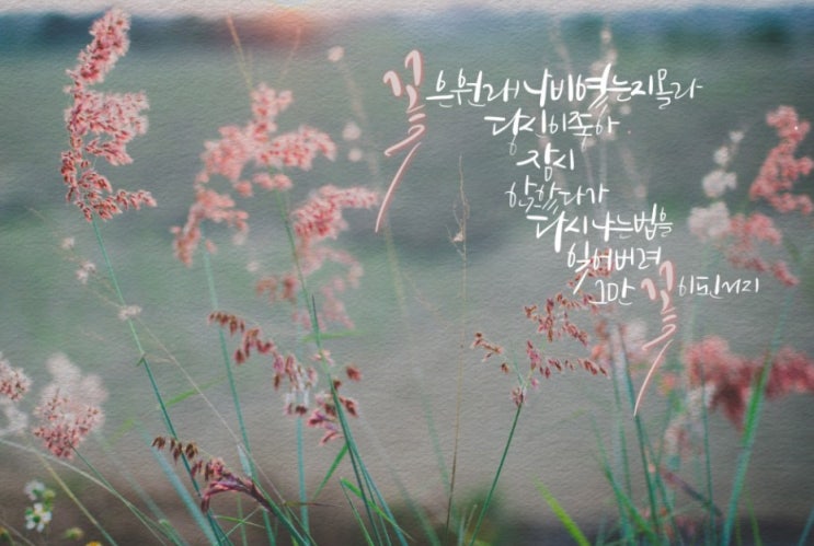  벌써 늦가을이네요. 11월 긍정 인사말 공유합니다.
