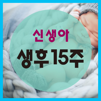  생후 15주 정보