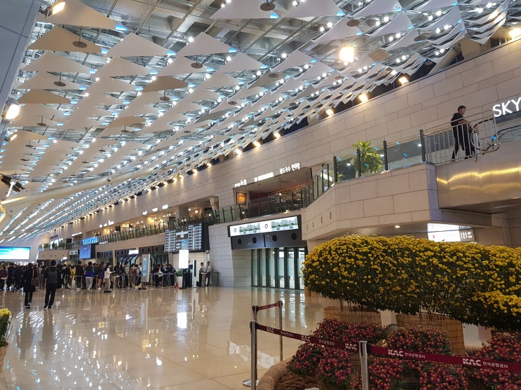  울산여행 ; 공항버스 6003, 공항버스 6017 (서울대입구역) / 김포공항 국내선 새벽, 아침 시간