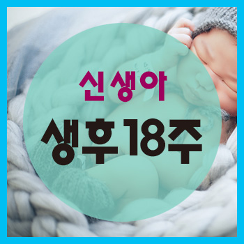  생후 18주 정보