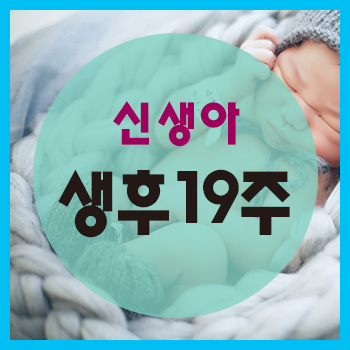  생후 19주 정보