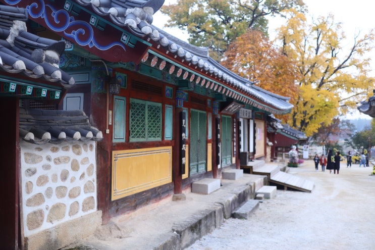  여주아울렛 주변 갈만한 곳 신륵사