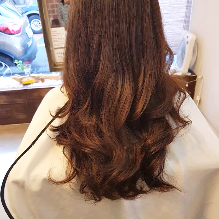  제주시 연동 할인 받고 인싸헤어스타일링 할 수 있는 미용실
