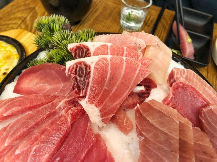  [세종대] 봉쉐프참치포차. 편하게 즐기기 좋은 가성비 맛집 (세종대 참치 맛집)