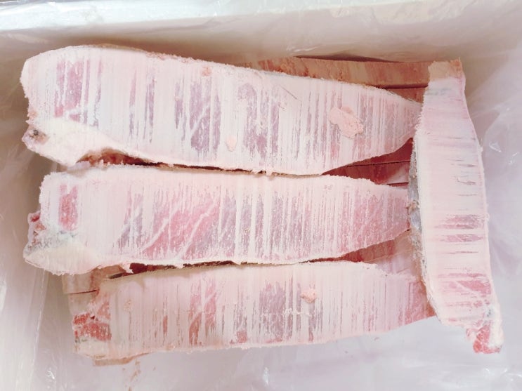  참다랑어가마도로 냉동 참치납품 하는곳