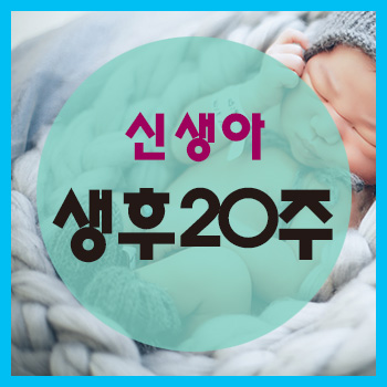  생후 20주 정보