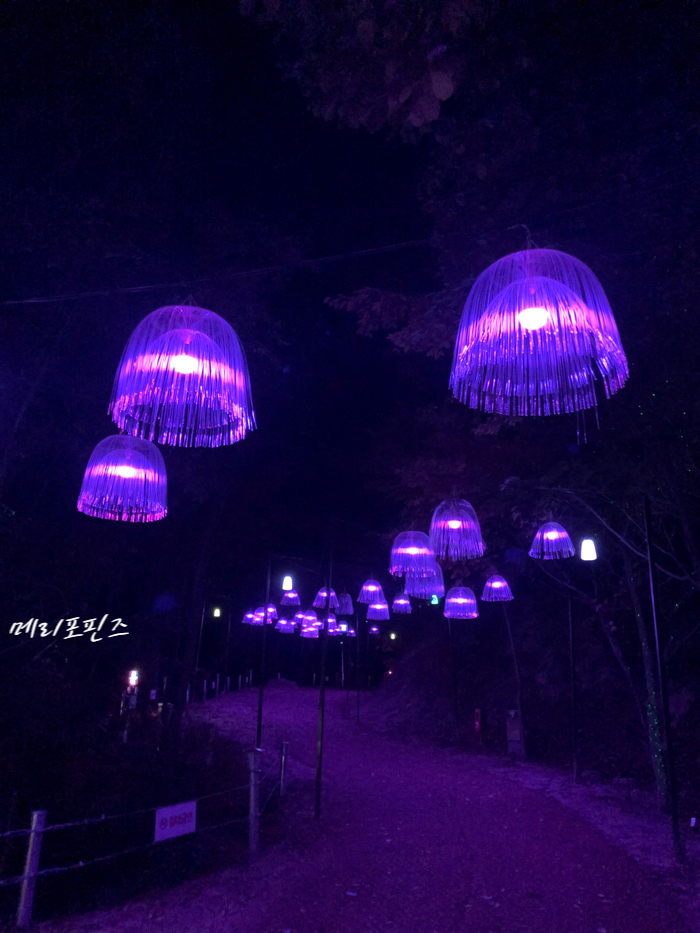  오크밸리 3D 라이팅쇼 Sonata Of Light