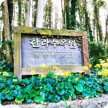  한라수목원 제주도 제주시 관광명소