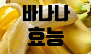  바나나효능 :: 빈혈예방과 불면증완화
