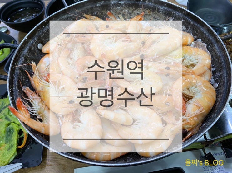 수원역 맛집 ) 가을 제철 대하구이 맛집 수원역 횟집 광명수산