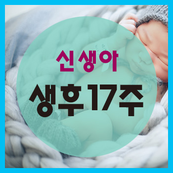  생후 17주 정보