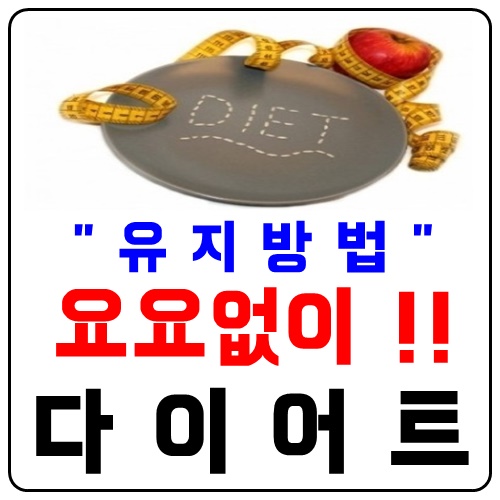  다이어트요요 없이 유지하는 방법
